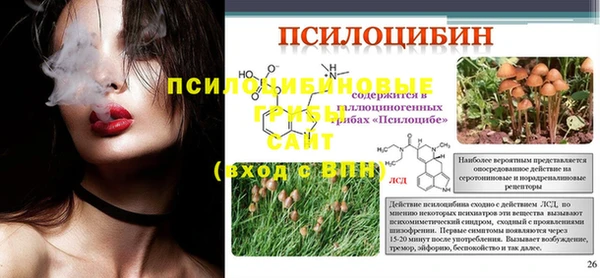 Альфа ПВП Бугульма