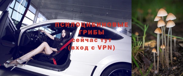 мдпв Богданович