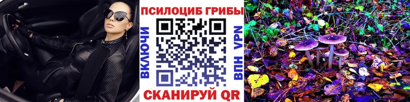 закладки  KRAKEN ONION  Псилоцибиновые грибы ЛСД  нарко площадка клад  Дедовск 